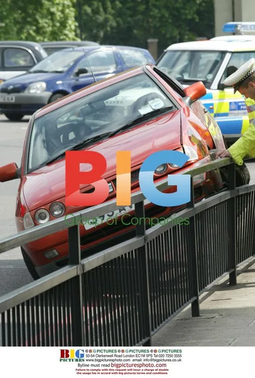 Bizarre Car Parking Incident