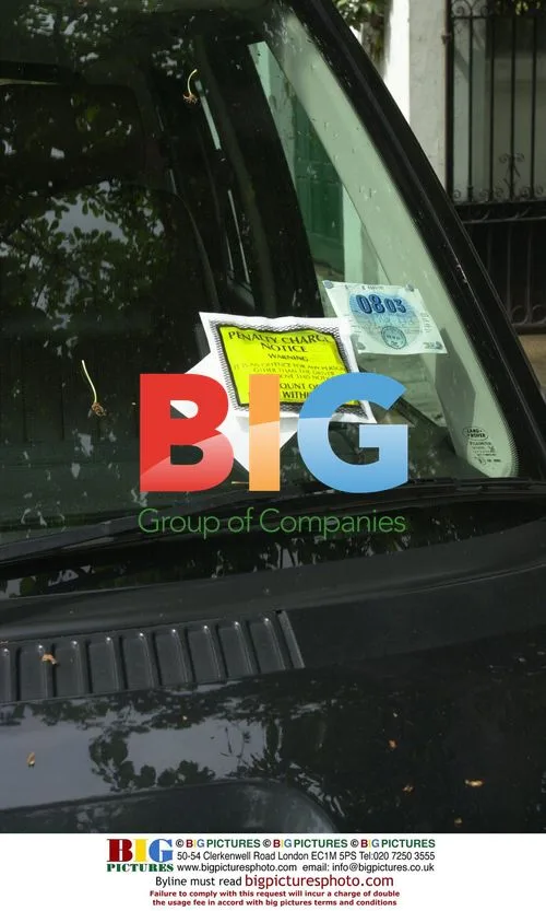 Elle Macpherson receives parking ticket