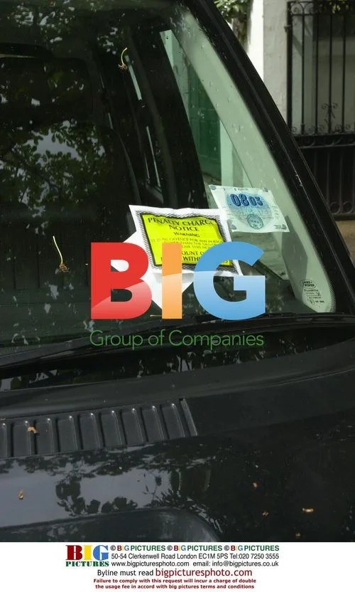 Elle Macpherson Avoids Parking Ticket