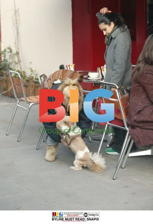 Geri Halliwell and dog Harry out in West London
