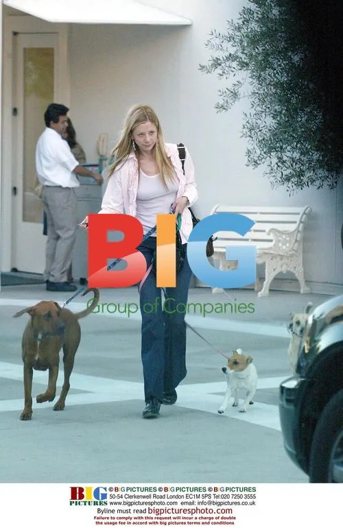 Mira Sorvino Shopping with Dogs