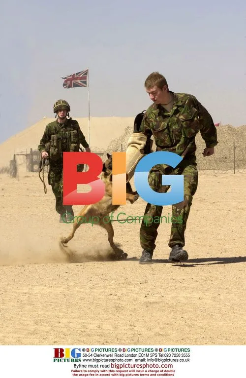 UK Military Dog Trainers in Kuwait