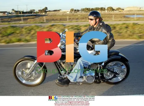 Jack Russell Terrier Rides Harley