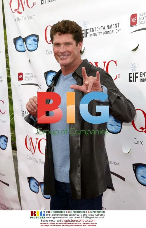 David Hasselhoff at 'QVC's Cure By The Shore' event