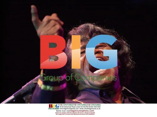 James Brown Performs at NYC Festival
