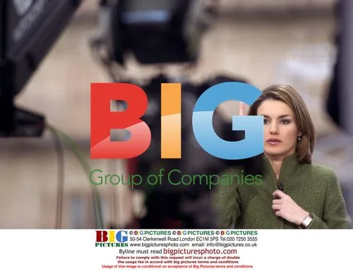 Letizia Ortiz Rocasolano Engagement to Prince Felipe