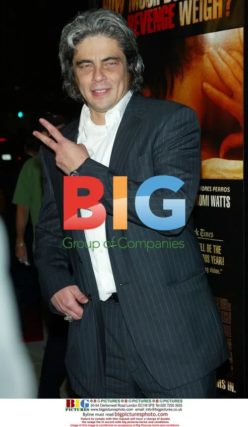 21 Grams LA Premiere