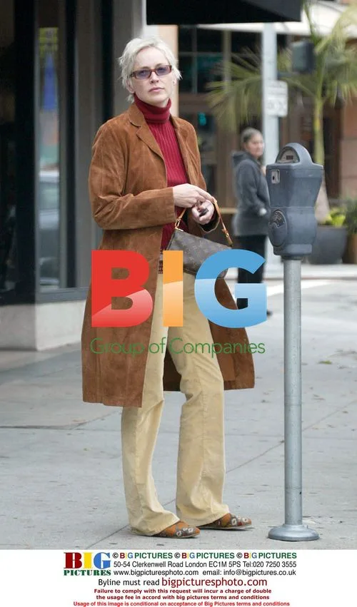 Sharon Stone has lunch with son Roan