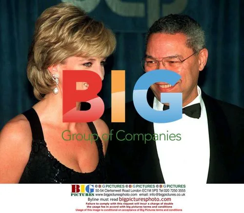 Princess Diana and Gen. Powell at Cerebral Palsy Dinner