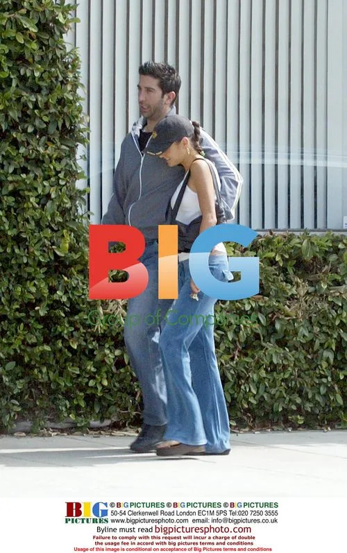David Schwimmer out with girlfriend Carla Alapont