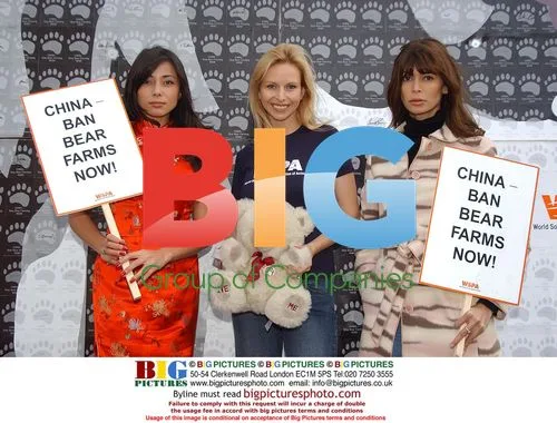 Rachel Grant, Anneka Svenska, and Lisa B Urge China to End Bear Farming