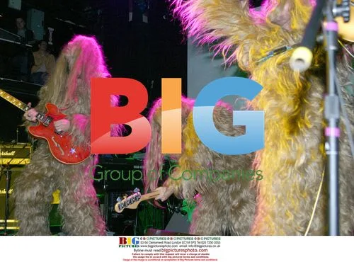 Super Furry Animals Live in NYC