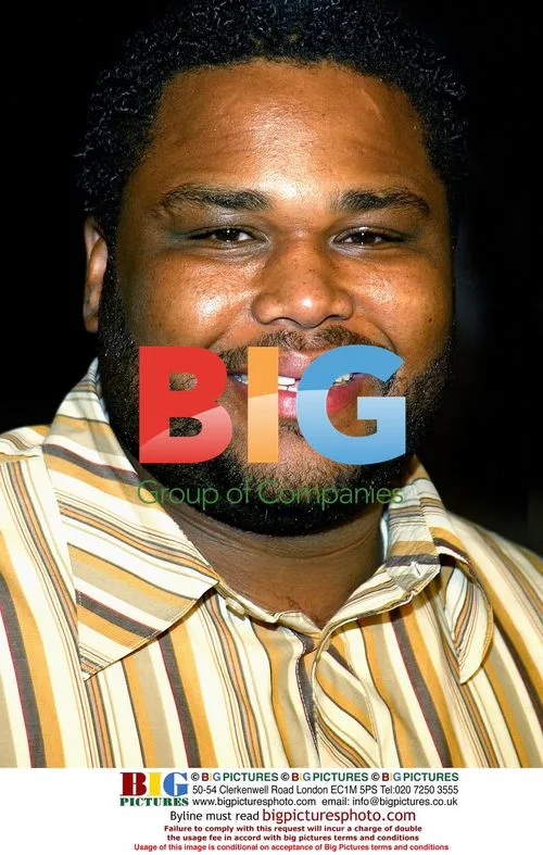 Anthony Anderson at 'Scary Movie 3' Premiere