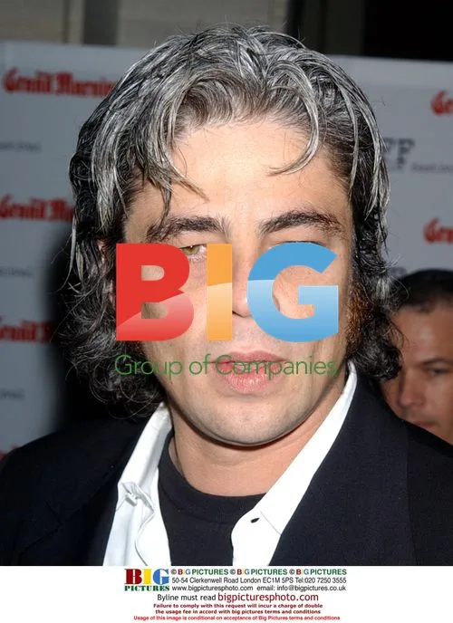 Benicio Del Toro at '21 Grams' Premiere