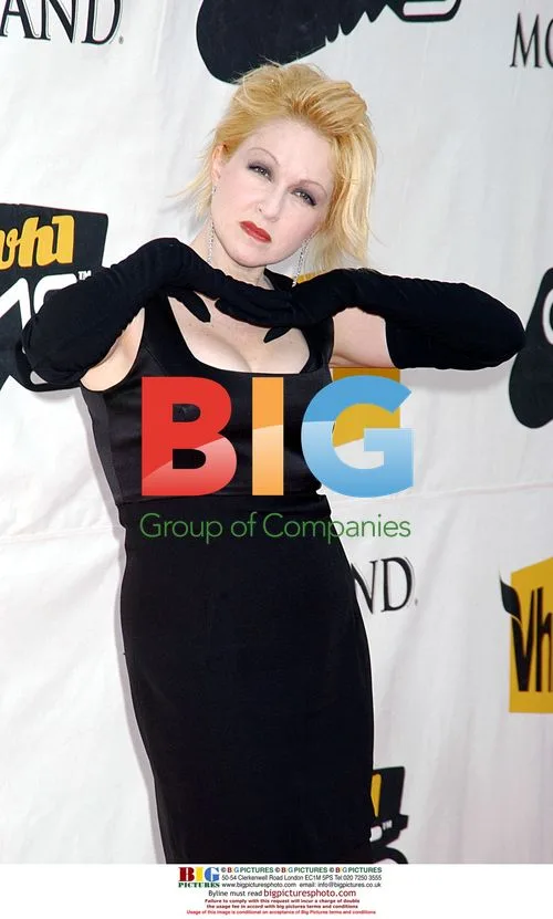 Cyndi Lauper at VH1 Divas 2004