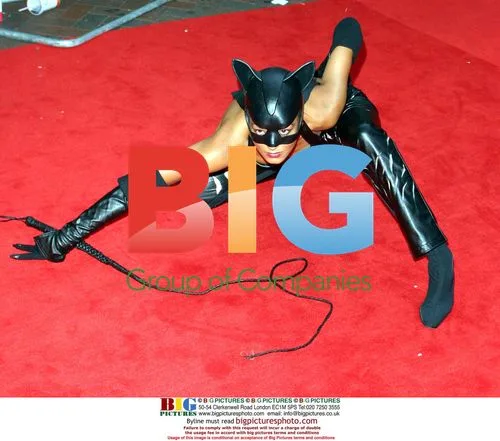 Pussy cats at 'Catwoman' premiere