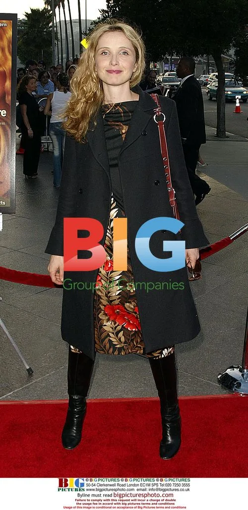 Julie Delpy at 'We Don't Live Here Anymore' Premiere
