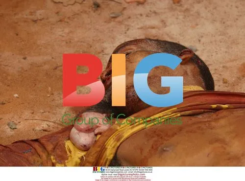 Worker Murdered in Brutal Attack in Brazil