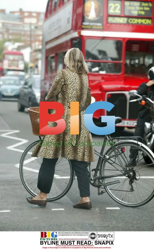 Anita Pellenberg out shopping in London
