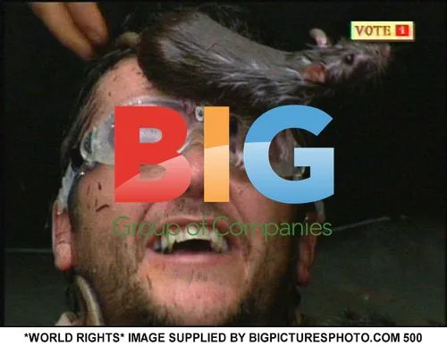 Joe Pasquale Crowned King of the Jungle