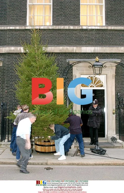 Christmas Tree Delivery at 10 Downing Street