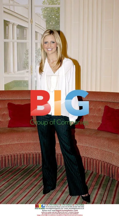 Sarah Michelle Gellar at "The Grudge" Photocall