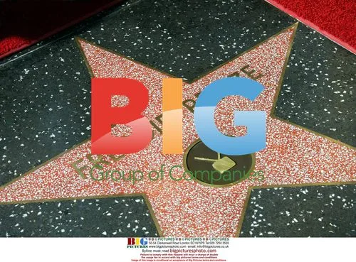 Freddie Prinze Jr. Honored with Posthumous Star