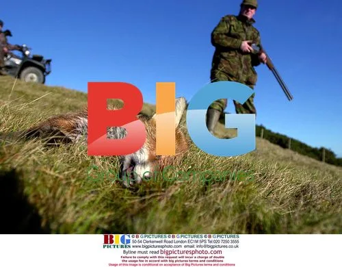 Trevor Adams Leads Fox Hunting