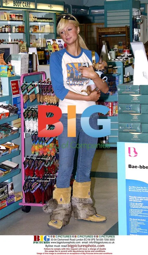 Paris Hilton out shopping with Tinkerbell and Conrad