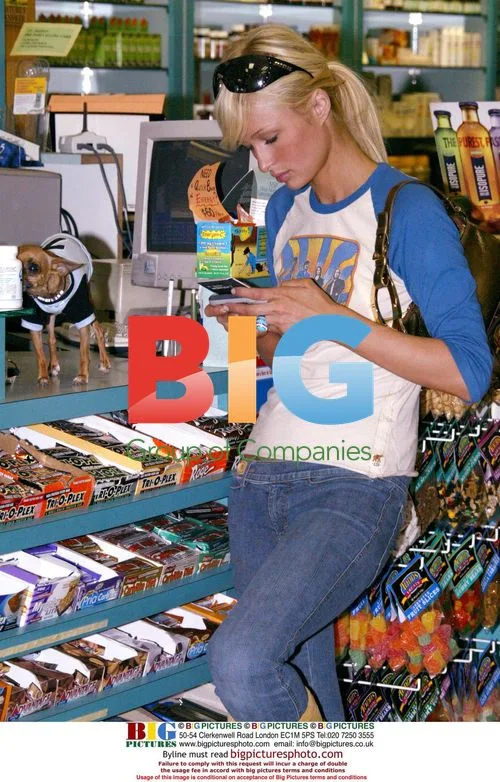 Paris Hilton Shopping with Brother Conrad