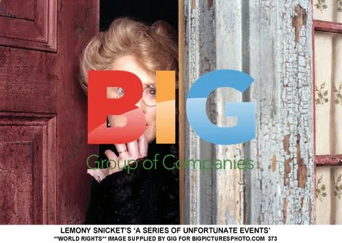 Lemony's Snickets 'A Series Of Unfortunate Events'