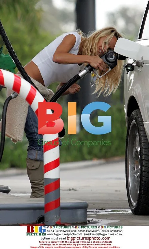 Pamela Anderson struggles at Gas Pump