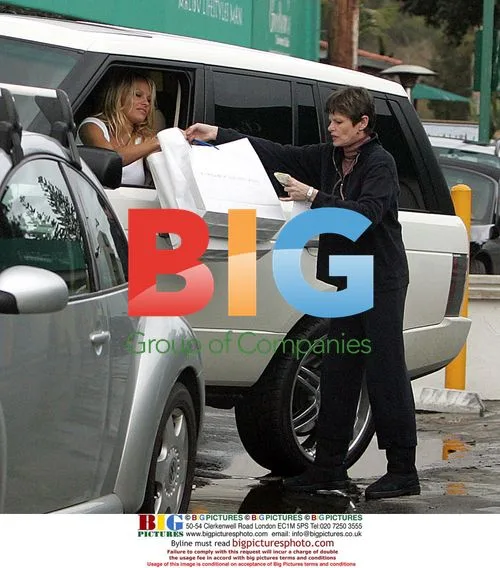 Pamela Anderson Struggles at Gas Pump