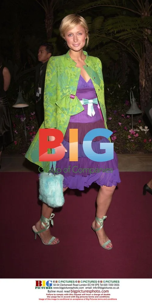 Paris Hilton at Clive Davis Pre-Grammy Gala