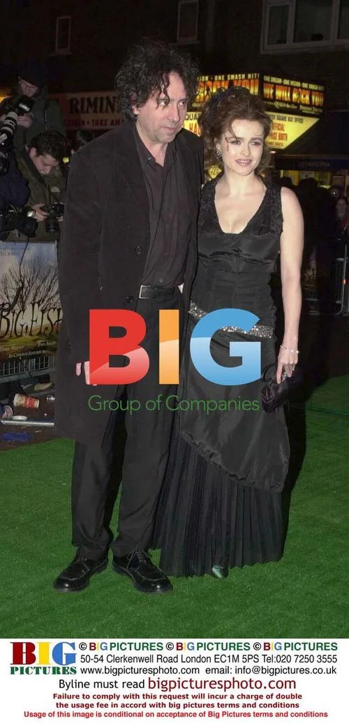 Angelina Jolie Walking the Red Carpet