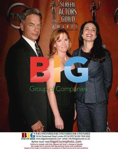 Melissa Gilbet, Andie MacDowell and Mark Harmon at SAG Awards