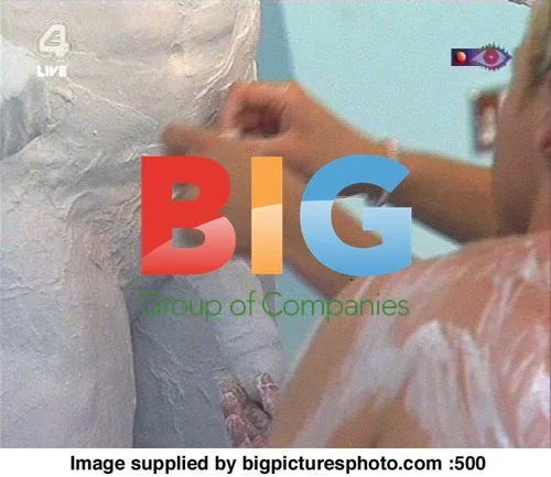 Big Brother 5 Housemates Plaster-Casting Fun