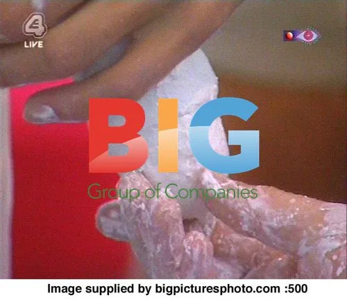 Big Brother 5 Housemates Craft New Member
