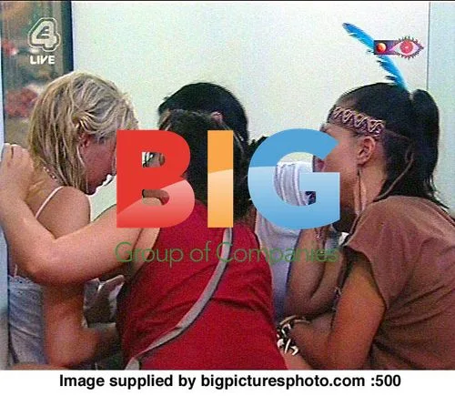 Big Brother House Fight
