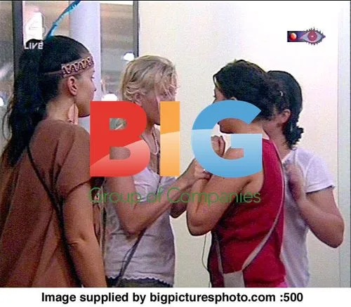 Big Brother 5 Housemates Fight