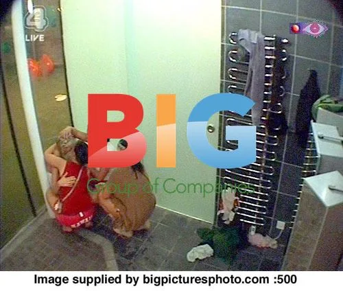 Big Brother Housemates Brawl
