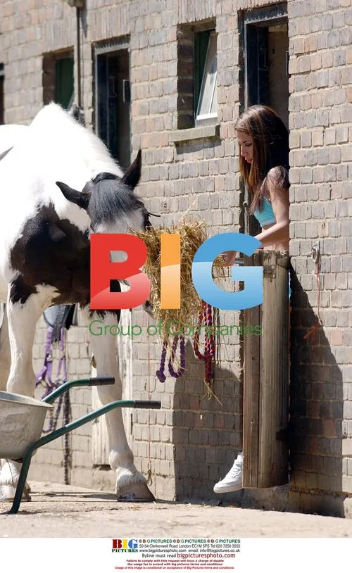 Glamour Model Leilani Grooming Horse
