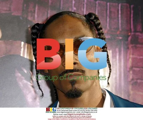 Snoop Dogg at 'Catwoman' Premiere