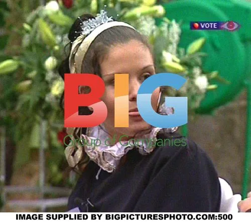 BIG BROTHER 5: Wedding, Arguments, and Sex