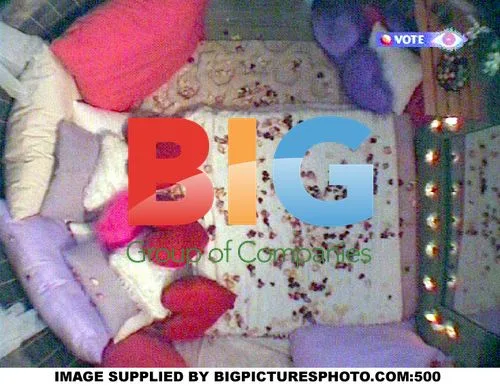 Big Brother 5 Wedding Drama