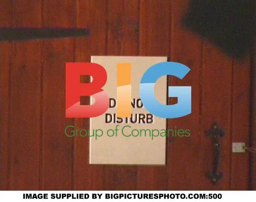Big Brother 5 Wedding Drama