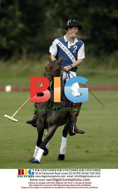 Ronnie Wallace Memorial Trophy Polo