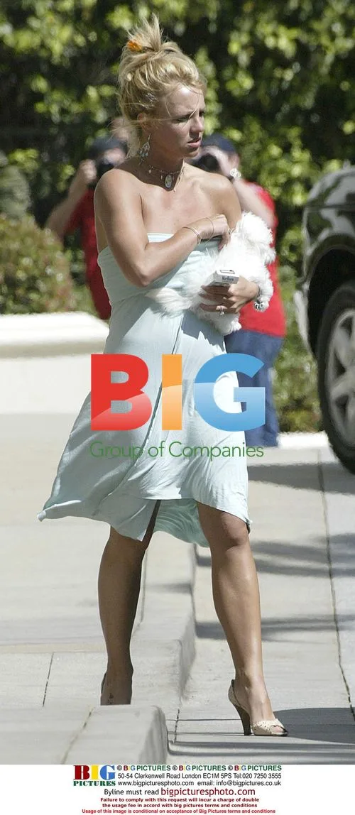 Britney Spears Shopping with Puppy