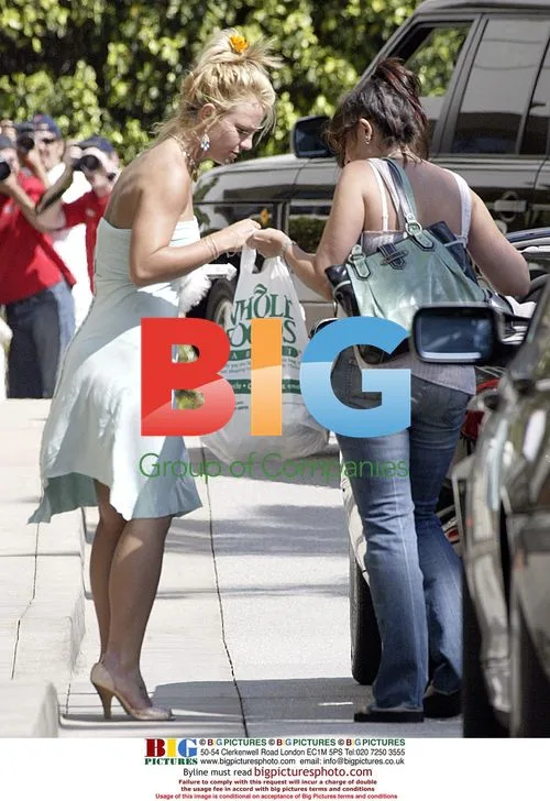 Britney Spears Shopping with Puppy
