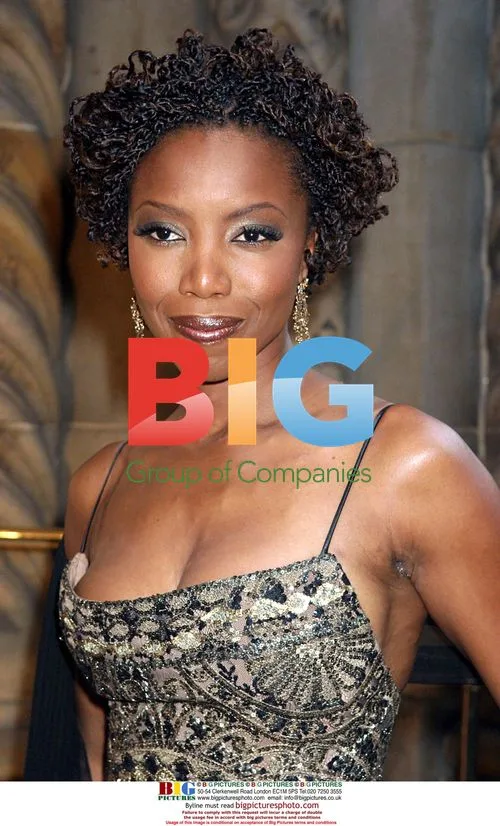 Heather Headley at Sesame Benefit Gala